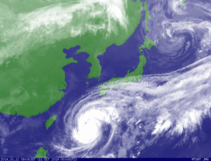 台風 19 号 10/11 9:00 ~ 10/12 8:30